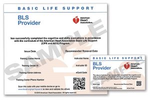 CPR Training Course AHA BLS Certification Portland Oregon